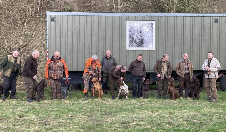 Langhårsklubbens markprøve 23.03.2024 ved Hammelev