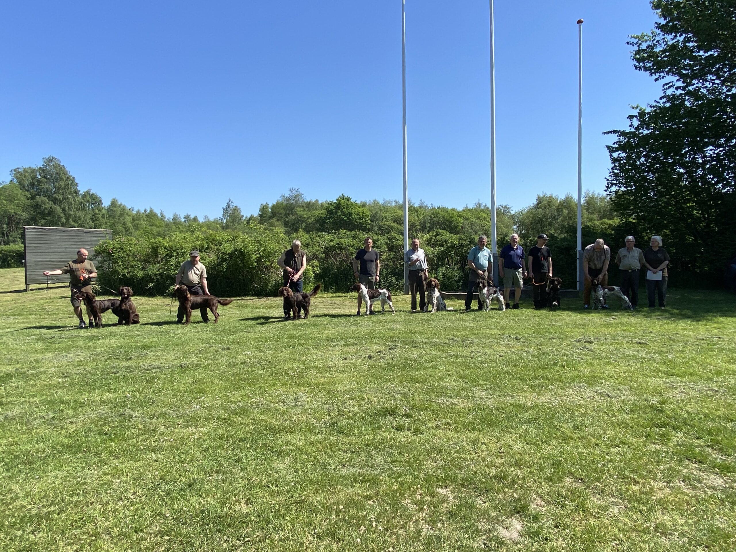 Langhårsklubbens eksteriørbedømmelse 18.05.2024
